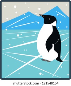 Little penguin on ice