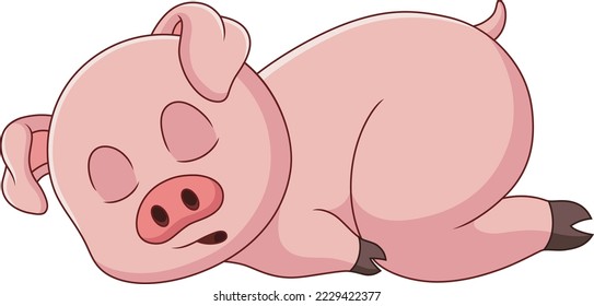 A little pig is asleep isolated on white background