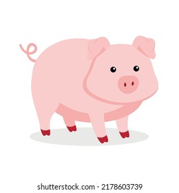 little pig on a white background