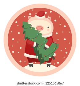 Little Pig with Santa’s Red costume holds a christmas tree with colorful lights. New year 2019
