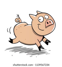 Little pig running