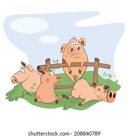 little pigs cartoon 