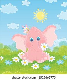 Little pink elephant playing with a funny butterfly among white flowers on green grass on a sunny summer day, vector illustration in a cartoon style