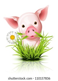 Little pink pig in green grass