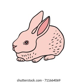 Little pink rabbit vector illustration.