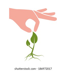 little plant