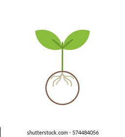 Little Plant Icon. Vector Illustration