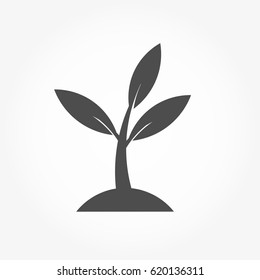 Little plant icon. Vector illustration