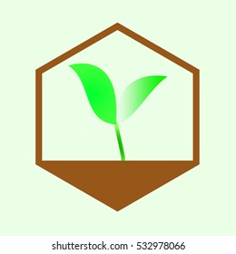 Little plant seedling. Vector illustration