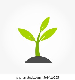 Little plant spring germination. Vector illustration