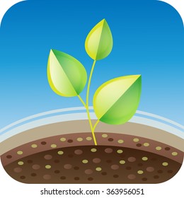 Little plant sprout. Green sprout vector illustration. Spring landscape.