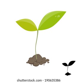 Little Plant Sprout. Vector Illustration