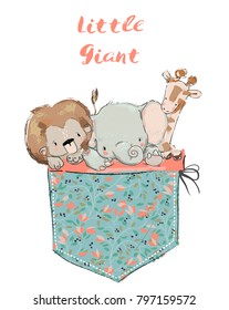 little pocket animals