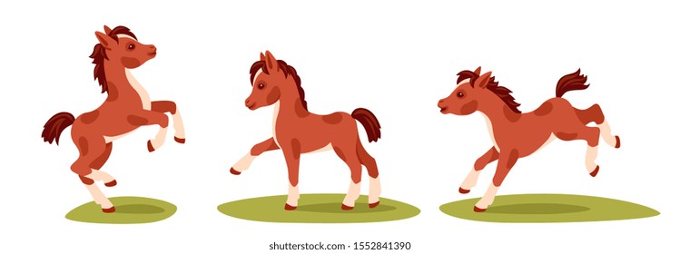 little pony stands, runs, jumps, plays