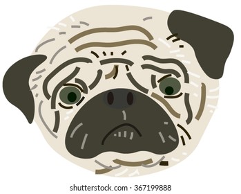 Little Pug Dog Face.