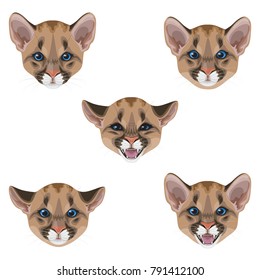 Little puma muzzle set.Young American mountain lion isolated on white. Funny animal facial expression. Cougar cub calm, angry, hissing vector flat illustration.