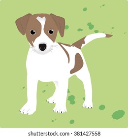 Little Puppy