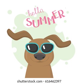 Little puppy dachshund  in a funny blue-rimmed oval dark sunglasses, single stand alone composition in a light green frame with a Hello Summer lettering. Vector illustration. 