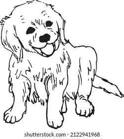 little puppy hand drawn vector