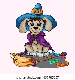 Little puppy in a witch costume