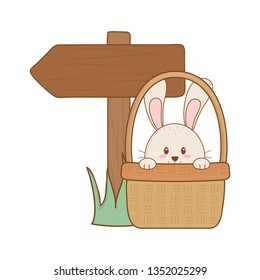 little rabbit in basket with arrow guide easter character