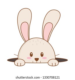 little rabbit easter character