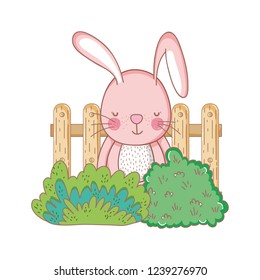 little rabbit in the garden