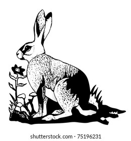 little rabbit in the grass black and white