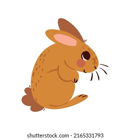 little rabbit icon isolated flat