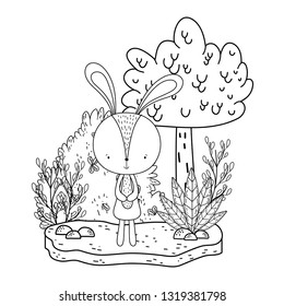 little rabbit in the landscape
