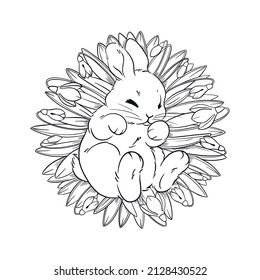 little rabbit lies sleeping on snowdrop spring flowers, happy easter, grass circle, linear graphic drawing coloring book, vector, background design, holiday card, easter bunny on grass.