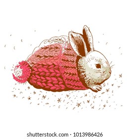 Little rabbit, vector illustration.