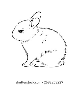 Conejo pequeño, ilustración de boceto de Vector