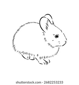 Conejo pequeño, ilustración de boceto de Vector