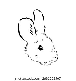 Pequeno coelho, ilustração de esboço vetorial
