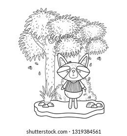 little raccoon in the landscape