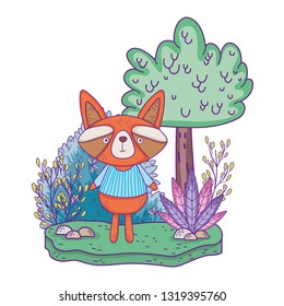 little raccoon in the landscape