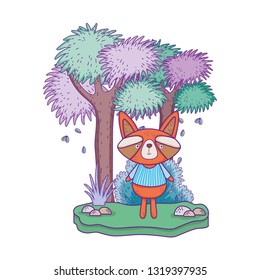 little raccoon in the landscape