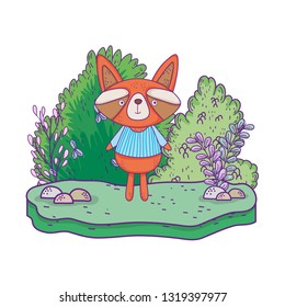 little raccoon in the landscape