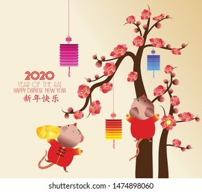 Little rat with holding chinese gold , Ingot. zodiac mice of Animal lucks year 2020 of the rat. Chinese New Year