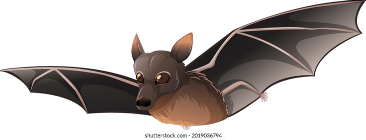 Little Red Bat in cartoon style on white background illustration