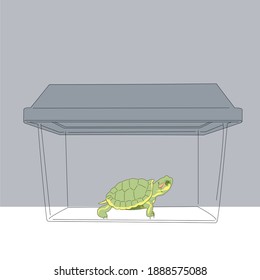 Little Red Eared Slider Turtle is small in cage. Vector illustration