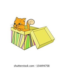 Little red kitten sitting in the box