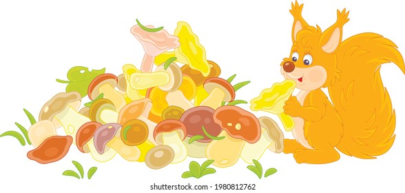Little red squirrel mushroomer with a big pile of picked mushrooms on a summer forest glade, vector cartoon illustration isolated on a white background