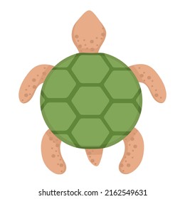 Little sea turtle. Doodle flat clipart. All objects are repainted.