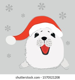 
little seal in a red cap