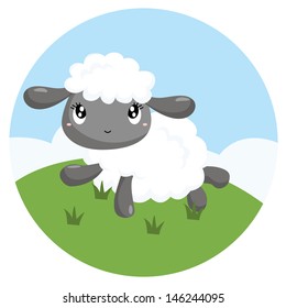 Little Sheep