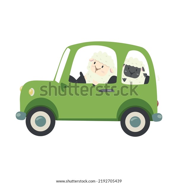  little sheep\
and black sheep driving car  