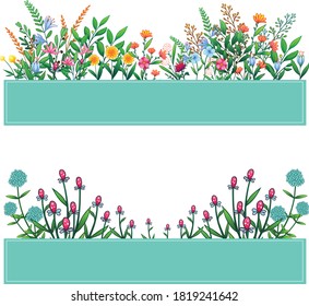 Little shrub for garden and jungle isolated on white background