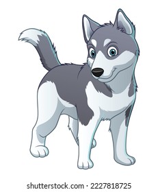 Little Siberian Husky Dog Cartoon Animal Illustration